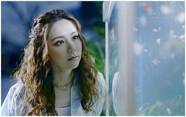 林志炫《凤凰花开的路口》吉他谱_G调原版4/4拍
